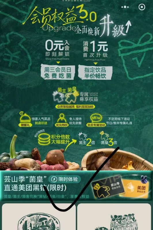 v打开 芸山季羊毛活动绘员能领美团30天黑钻符合就能领，需要自测mp://Gj61chTwVdHjZqp